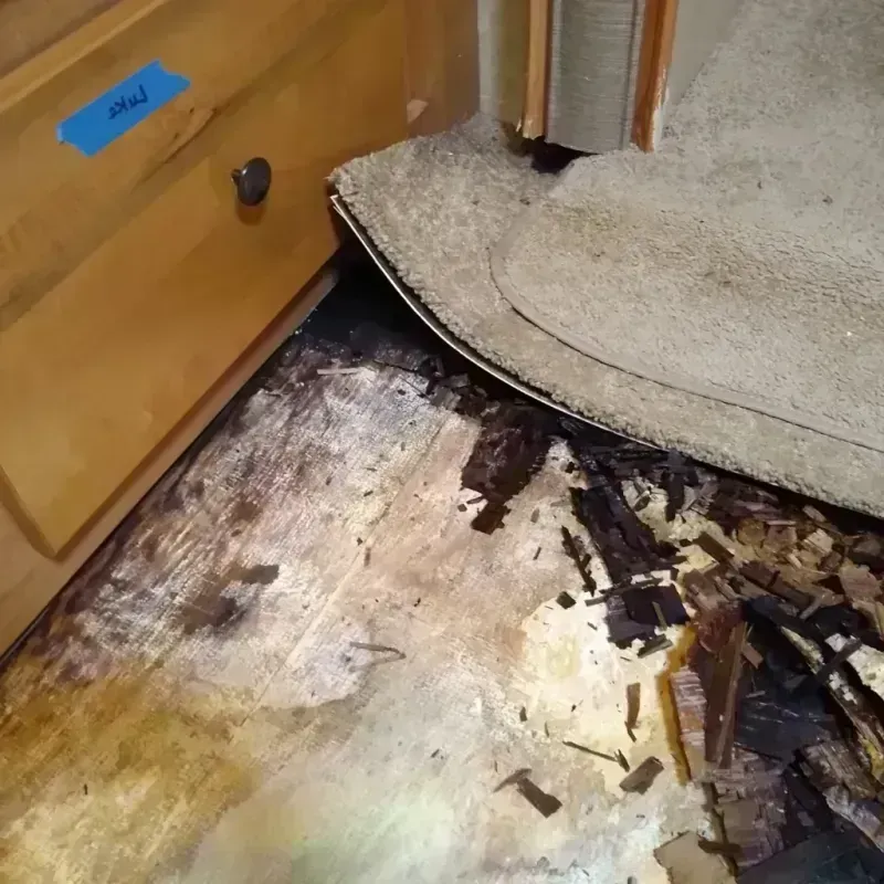 Best Wood Floor Water Damage Service in Elverta, CA